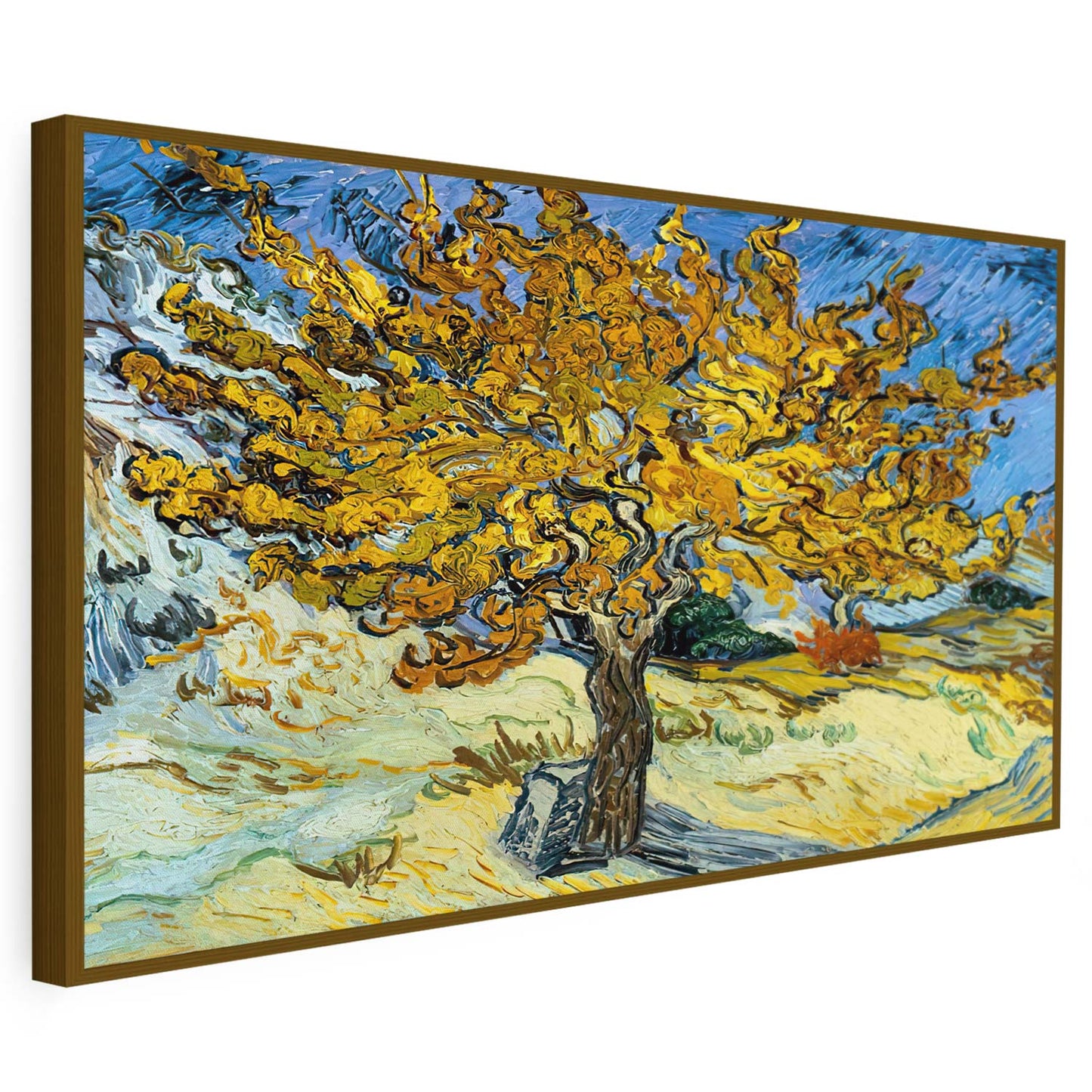 Mûrier Van Gogh KWADECO