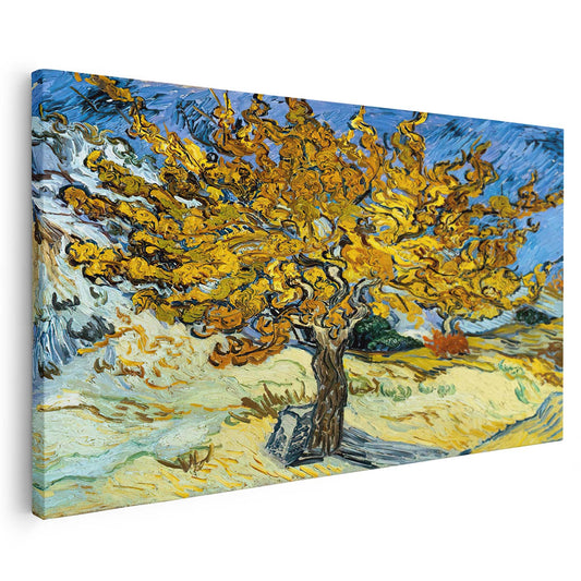 Mûrier Van Gogh KWADECO